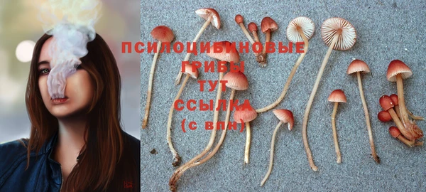 спиды Никольское