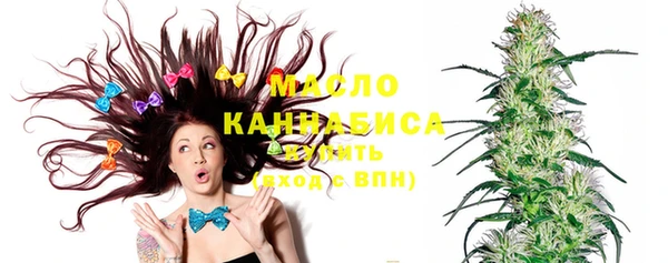 тгк Снежинск