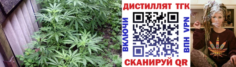 цена наркотик  Сосенский  кракен как войти  ТГК THC oil 