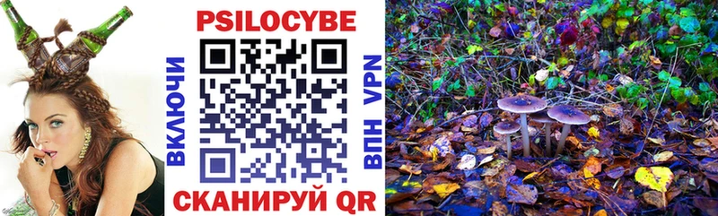 Псилоцибиновые грибы мицелий  Сосенский 